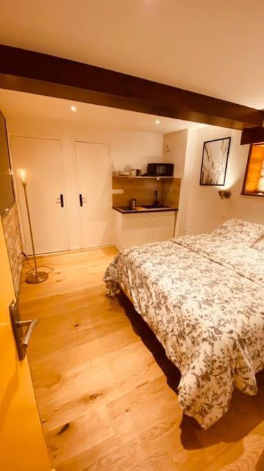 Studio Renove Avec Patio, Coeur Du Centre Ville Besançon Dış mekan fotoğraf