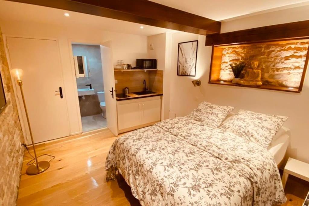 Studio Renove Avec Patio, Coeur Du Centre Ville Besançon Dış mekan fotoğraf