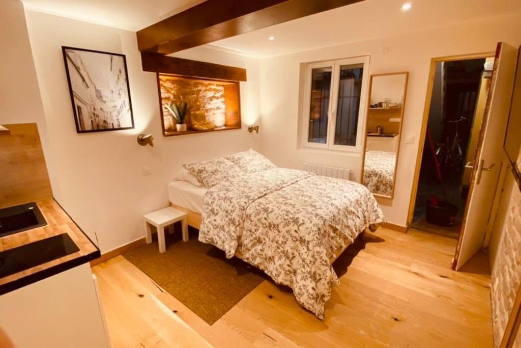 Studio Renove Avec Patio, Coeur Du Centre Ville Besançon Dış mekan fotoğraf